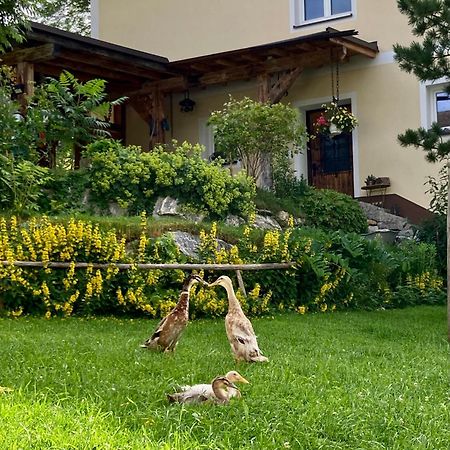 Apartament Heissgut Altenmarkt im Pongau Zewnętrze zdjęcie