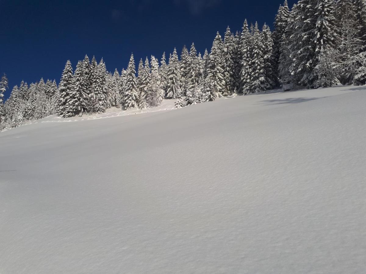 Apartament Heissgut Altenmarkt im Pongau Zewnętrze zdjęcie