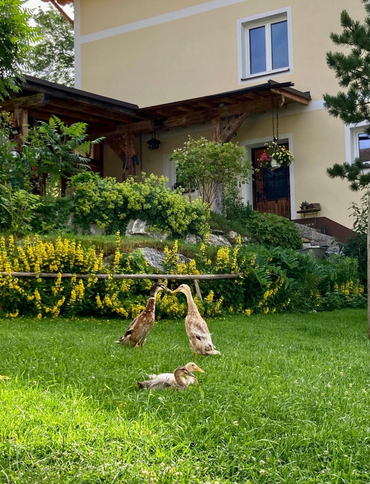 Apartament Heissgut Altenmarkt im Pongau Zewnętrze zdjęcie